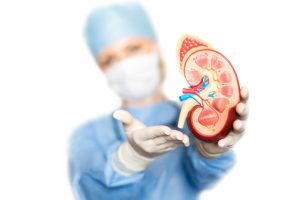 What Helps Kidney Function